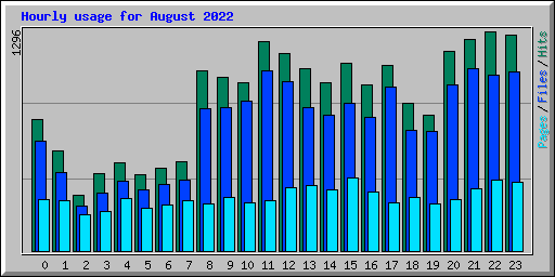 Hourly usage for August 2022