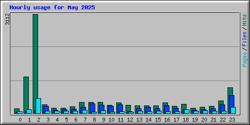 Hourly usage for May 2025