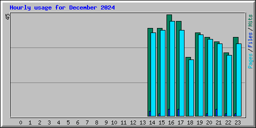 Hourly usage for December 2024