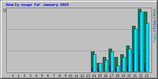 Hourly usage for January 2025