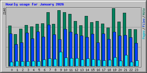 Hourly usage for January 2026