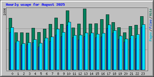Hourly usage for August 2025