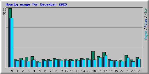 Hourly usage for December 2025