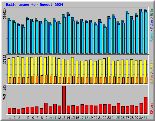 Daily usage for August 2024