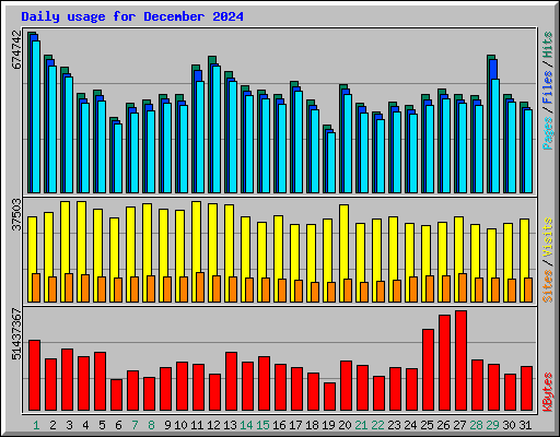 Daily usage for December 2024
