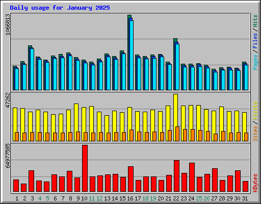 Daily usage for January 2025