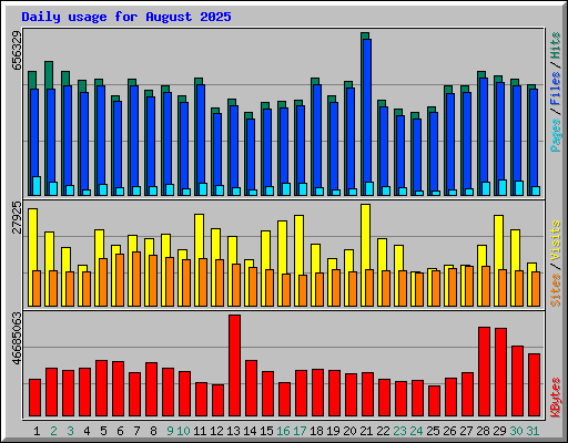 Daily usage for August 2025
