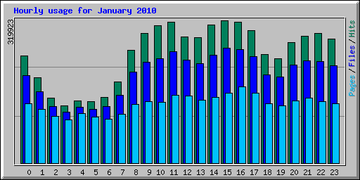 Hourly usage for January 2010