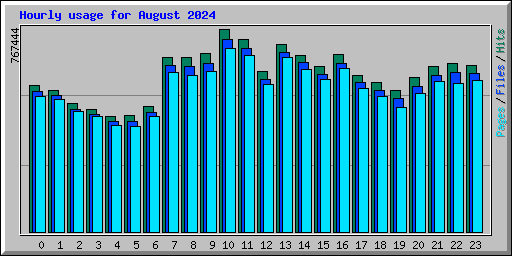 Hourly usage for August 2024
