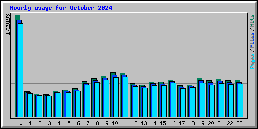 Hourly usage for October 2024