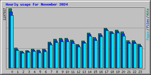 Hourly usage for November 2024