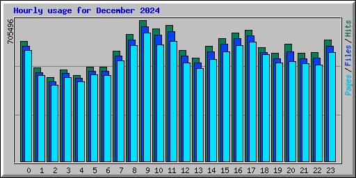 Hourly usage for December 2024