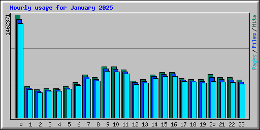 Hourly usage for January 2025