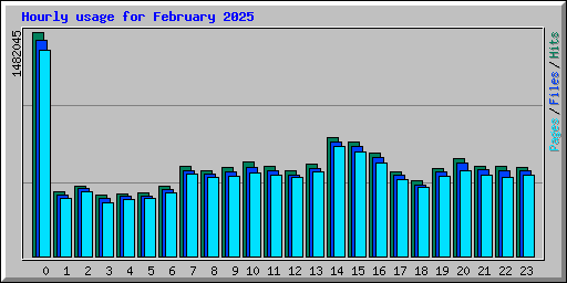 Hourly usage for February 2025