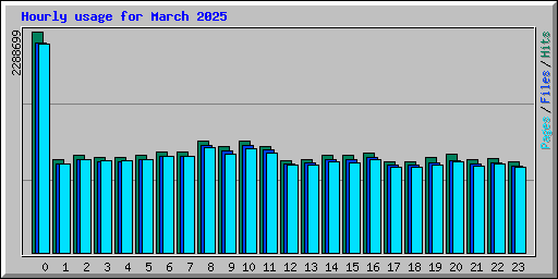 Hourly usage for March 2025