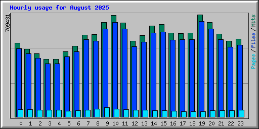Hourly usage for August 2025