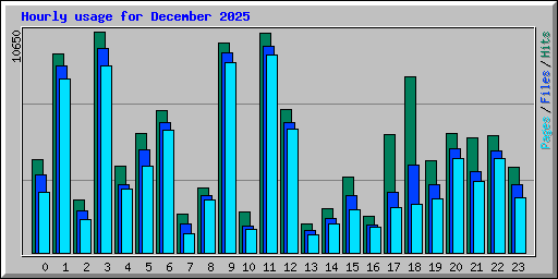 Hourly usage for December 2025