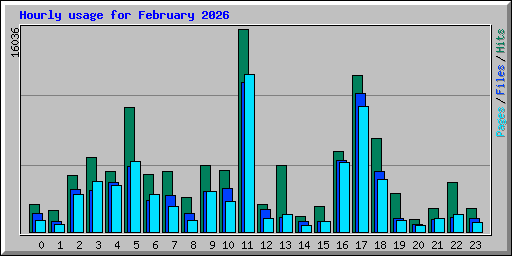 Hourly usage for February 2026