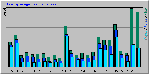 Hourly usage for June 2026