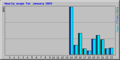 Hourly usage for January 2025