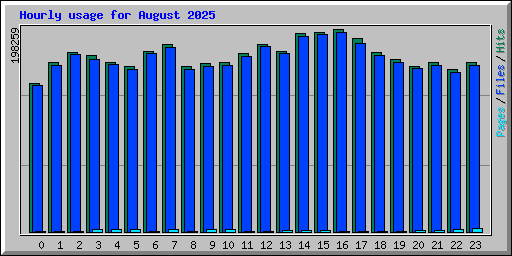 Hourly usage for August 2025