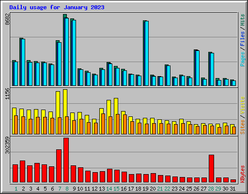 Daily usage for January 2023