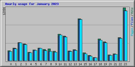 Hourly usage for January 2023