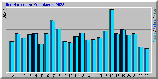 Hourly usage for March 2023