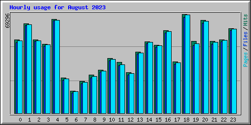 Hourly usage for August 2023