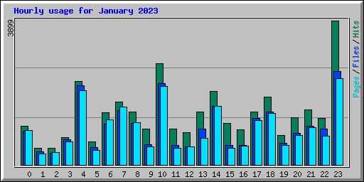 Hourly usage for January 2023