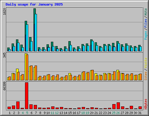 Daily usage for January 2025