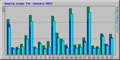 Hourly usage for January 2023