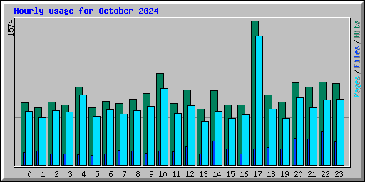 Hourly usage for October 2024