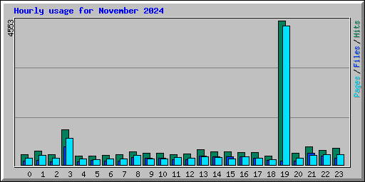 Hourly usage for November 2024