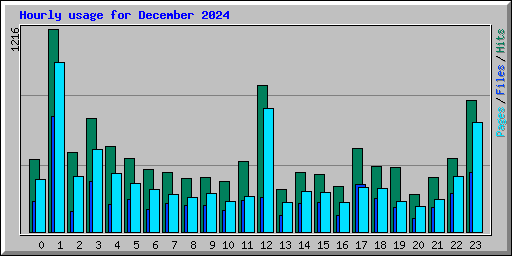 Hourly usage for December 2024