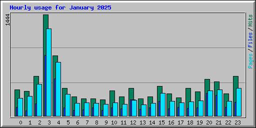 Hourly usage for January 2025
