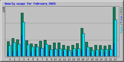 Hourly usage for February 2025