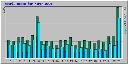 Hourly usage for March 2025