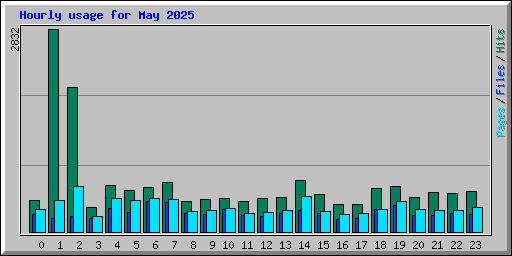 Hourly usage for May 2025