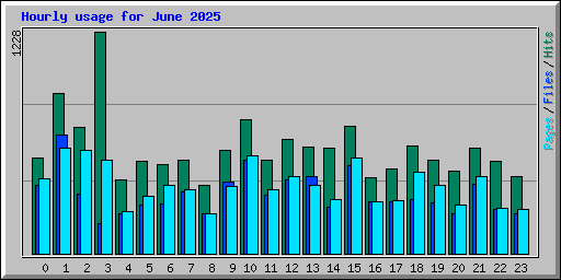 Hourly usage for June 2025