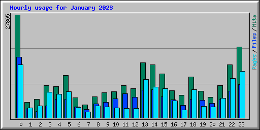 Hourly usage for January 2023