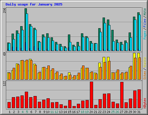 Daily usage for January 2025