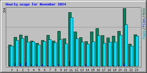 Hourly usage for November 2024
