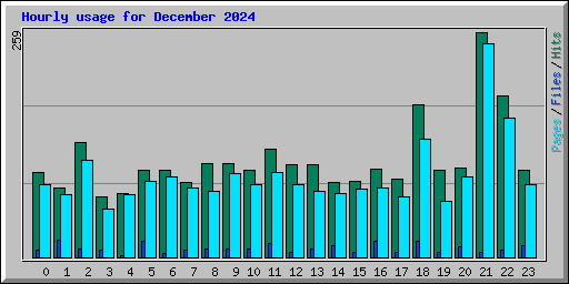 Hourly usage for December 2024