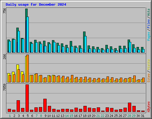 Daily usage for December 2024