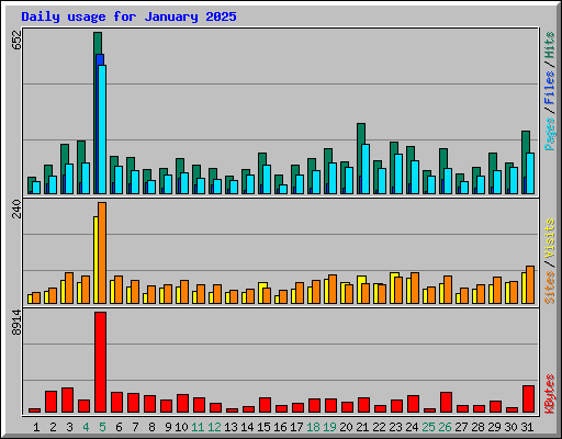 Daily usage for January 2025