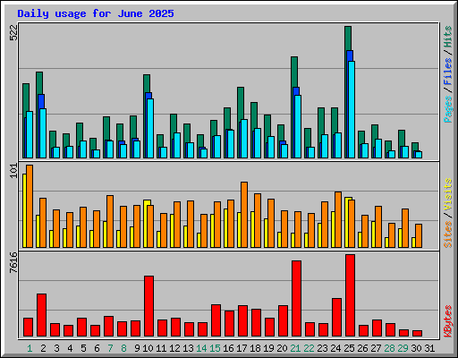 Daily usage for June 2025
