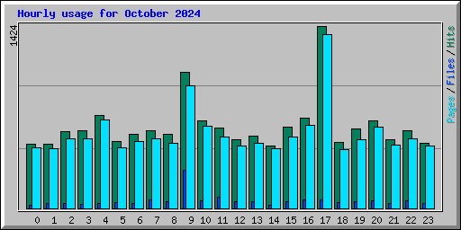 Hourly usage for October 2024