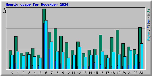 Hourly usage for November 2024