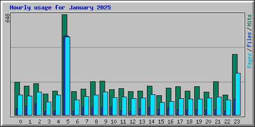 Hourly usage for January 2025
